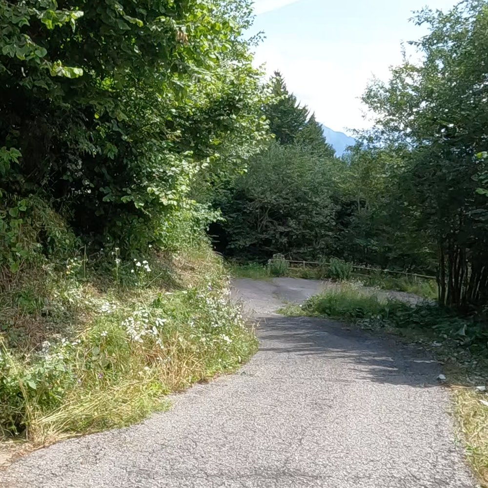 2. Alpen-Marathon Kärnten Trophy 2027