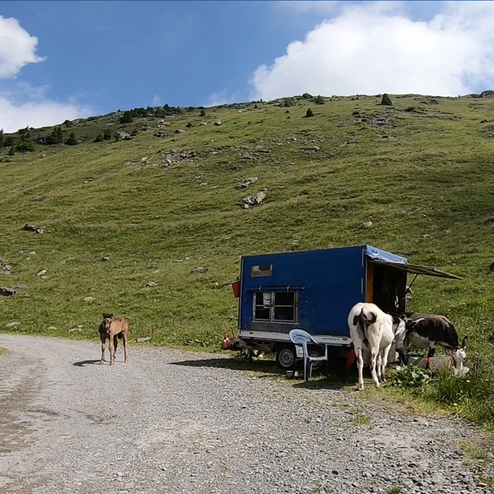 2. Alpen-Marathon Kärnten Trophy 2027